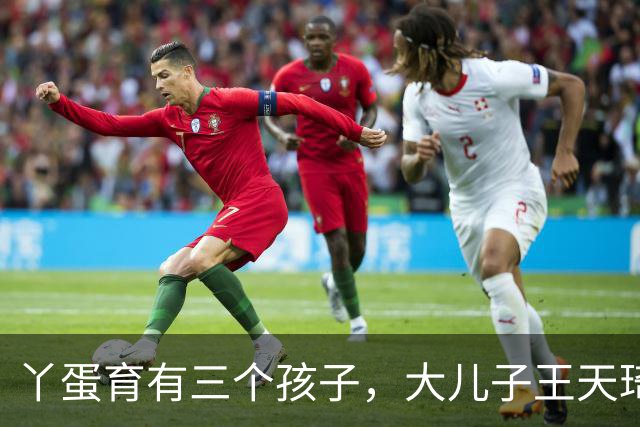 丫蛋育有三个孩子，大儿子王天琦是她和前夫王金龙所生