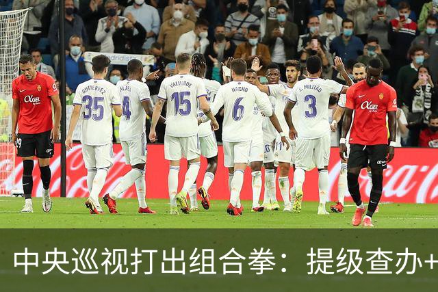 中央巡视打出组合拳：提级查办+深挖保护伞，查到线索再也瞒不住
