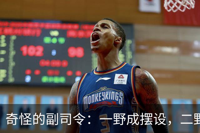 奇怪的副司令：一野成摆设，二野四野干脆没有，三野相当于司令