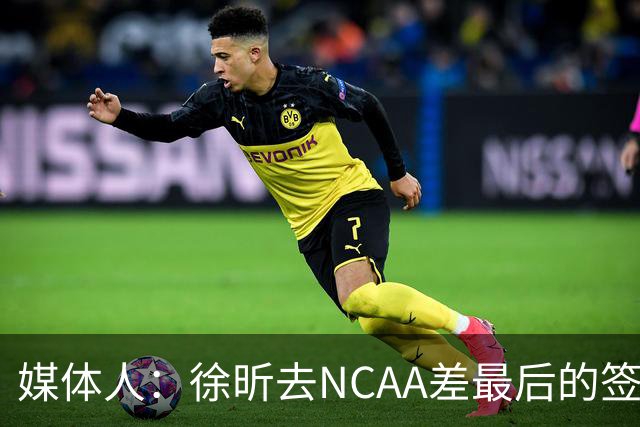 媒体人：徐昕去NCAA差最后的签证，重返CBA经历换帅数据全面下滑