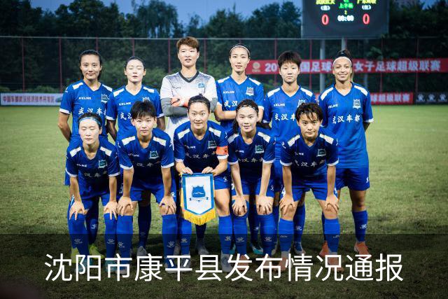 沈阳市康平县发布情况通报