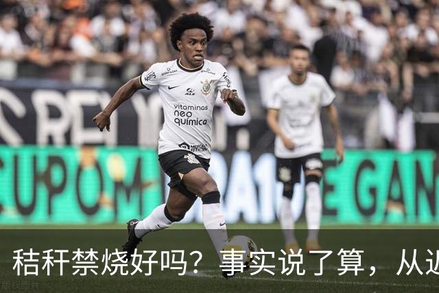 秸秆禁烧好吗？事实说了算，从近年蚯蚓鸟类和蛇类数量就可看出来