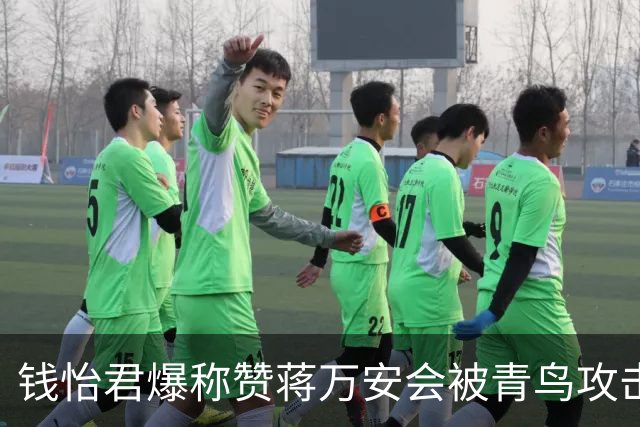 钱怡君爆称赞蒋万安会被青鸟攻击，沈富雄：一定要把沈伯洋从神坛拉下来